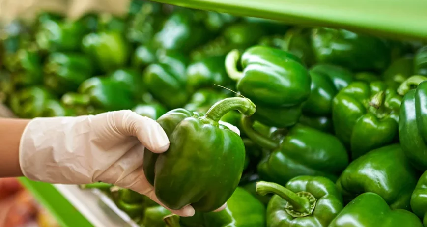 Organic farms avoid toxic inputs, improve soil health, grow clean, sustainable food that supports nature.