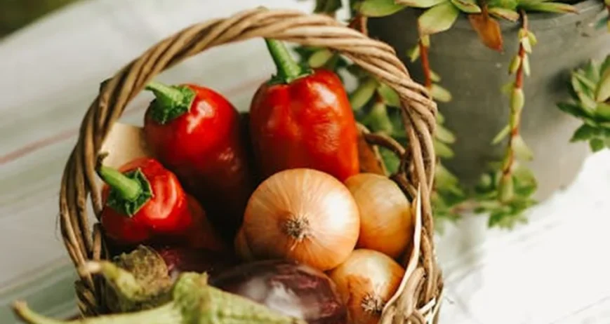 We grow fresh, organic produce using clean methods that protect nature, healthy food.