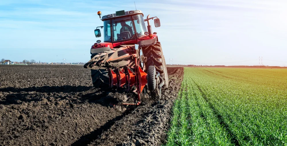 Organic farms avoid toxic inputs, improve soil health, grow clean, sustainable food that supports nature.