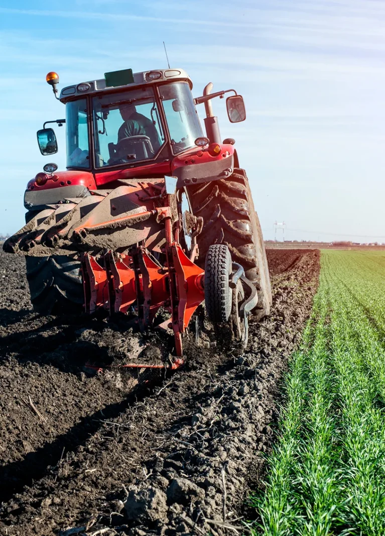Organic farms avoid toxic inputs, improve soil health, grow clean, sustainable food that supports nature.