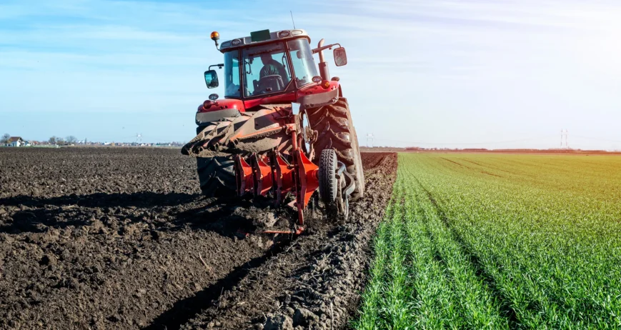 Organic farms avoid toxic inputs, improve soil health, grow clean, sustainable food that supports nature.